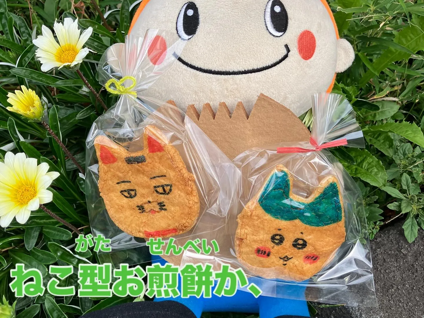 こんにちは！