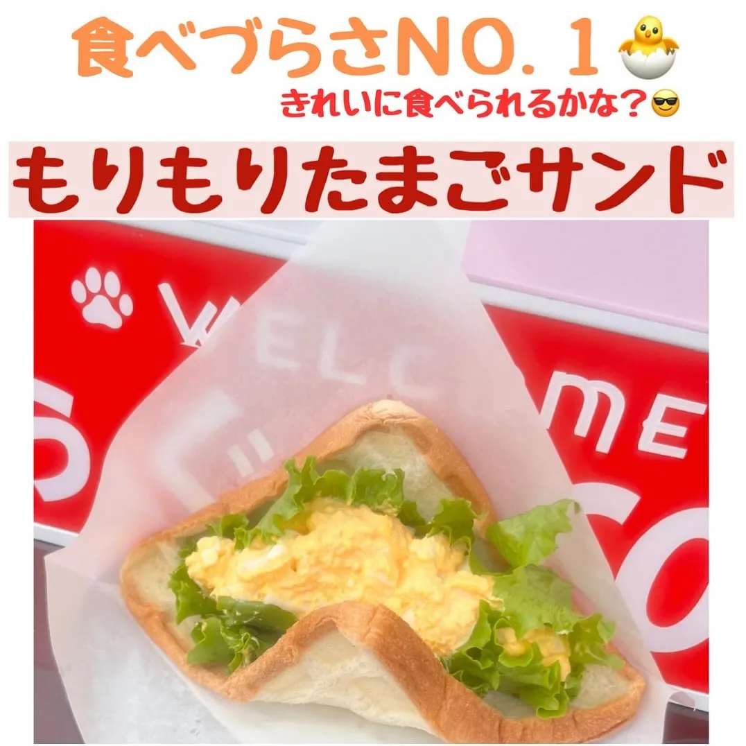 こんにちは！